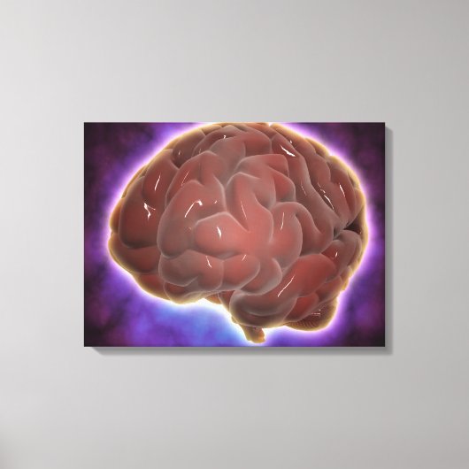 Conceptueel Afbeelding van het menselijk brein 6 Canvas Afdruk (Voorkant)
