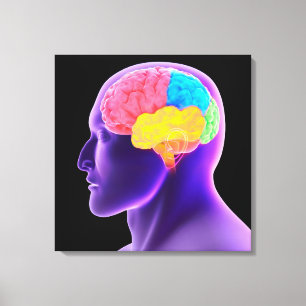 conceptueel Afbeelding van het menselijk brein 7 Canvas Afdruk