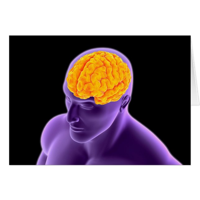 Conceptueel Afbeelding van het menselijk brein 8 (Voorkant Horizontaal)