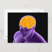 Conceptueel Afbeelding van het menselijk brein 8 Briefkaart (Voorkant / Achterkant)