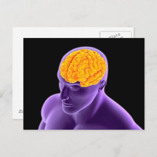 Conceptueel Afbeelding van het menselijk brein 8 Briefkaart (Voorkant / Achterkant)