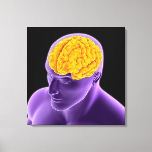 Conceptueel Afbeelding van het menselijk brein 8 Canvas Afdruk (Voorkant)
