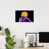 Conceptueel Afbeelding van het menselijk brein 8 Poster (Thuiskantoor)