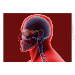 Conceptueel Afbeelding van het menselijk oog en de