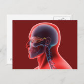 Conceptueel Afbeelding van het menselijk oog en de Briefkaart (Voorkant / Achterkant)