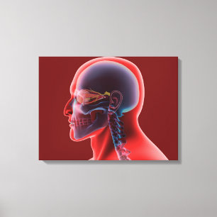 Conceptueel Afbeelding van het menselijk oog en de Canvas Afdruk