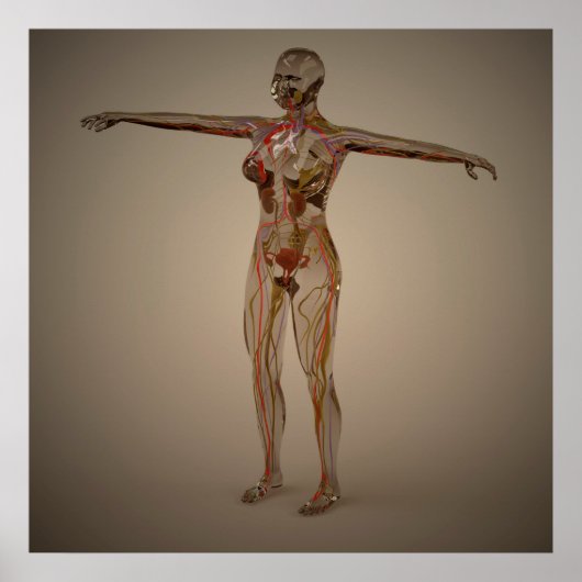 Conceptueel Afbeelding van het menselijk zenuwstel Poster (Voorkant)