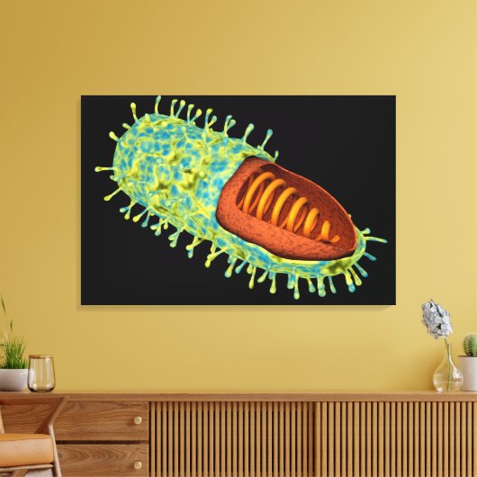 Conceptueel Afbeelding van het rabiësvirus 3 Canvas Afdruk (Insitu (Woonkamer))
