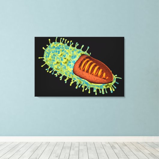 Conceptueel Afbeelding van het rabiësvirus 3 Canvas Afdruk (Insitu (Houten vloer))
