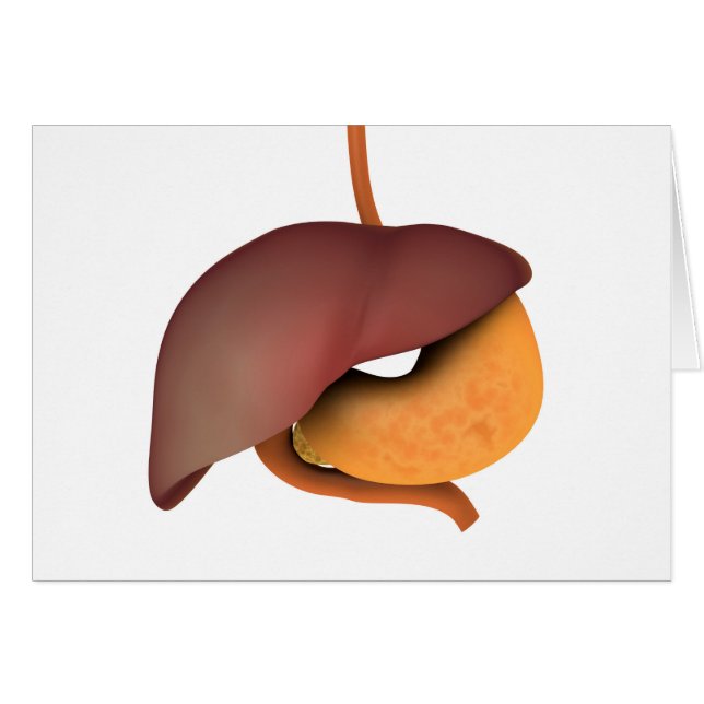 Conceptueel Afbeelding van het spijsverteringsstel (Voorkant Horizontaal)