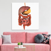 Conceptueel Afbeelding van het spijsverteringsstel Canvas Afdruk (Insitu (Woonkamer))