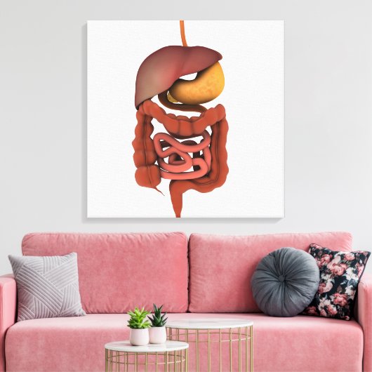 Conceptueel Afbeelding van het spijsverteringsstel Canvas Afdruk (Insitu (Woonkamer))