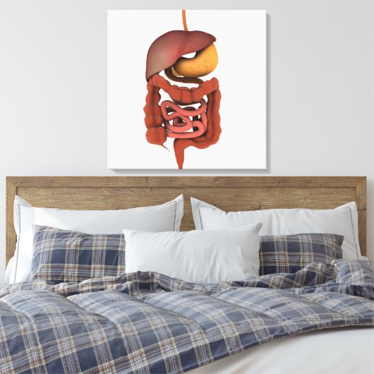 Conceptueel Afbeelding van het spijsverteringsstel Canvas Afdruk (Insitu (Slaapkamer))