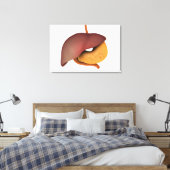 Conceptueel Afbeelding van het spijsverteringsstel Canvas Afdruk (Insitu (Slaapkamer))