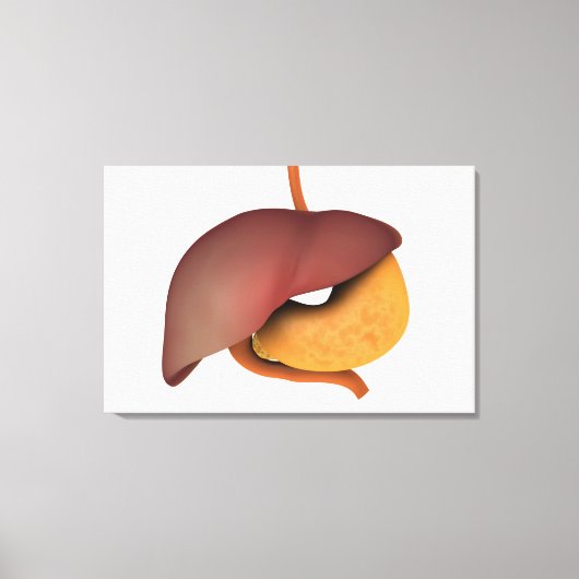 Conceptueel Afbeelding van het spijsverteringsstel Canvas Afdruk (Voorkant)