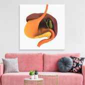 Conceptueel Afbeelding van het spijsverteringsstel Canvas Afdruk (Insitu (Woonkamer))