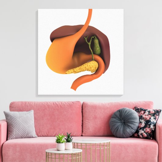 Conceptueel Afbeelding van het spijsverteringsstel Canvas Afdruk (Insitu (Woonkamer))