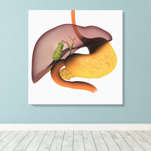 Conceptueel Afbeelding van het spijsverteringsstel Canvas Afdruk (Insitu (Houten vloer))
