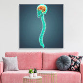 Conceptueel Afbeelding van humaan brein, schedel e Canvas Afdruk (Insitu (Woonkamer))