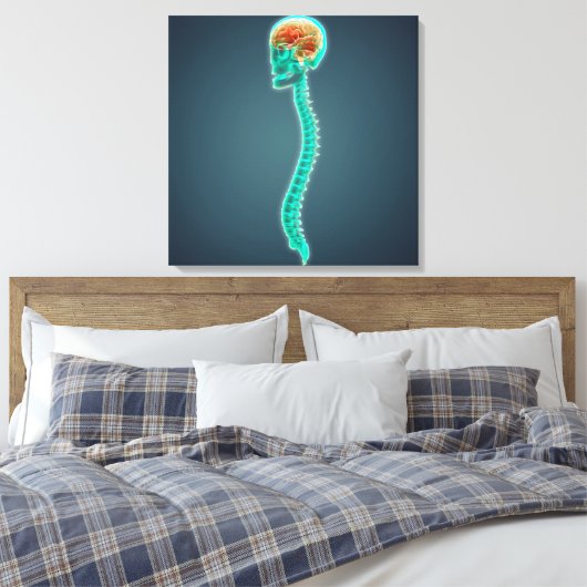 Conceptueel Afbeelding van humaan brein, schedel e Canvas Afdruk (Insitu (Slaapkamer))
