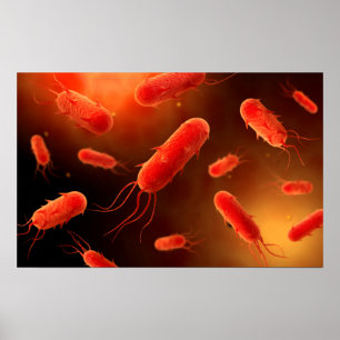 Conceptueel Afbeelding van lagellaatbacterie 1 Poster