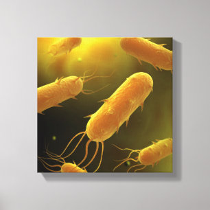 Conceptueel Afbeelding van lagellaatbacterie 3 Canvas Afdruk