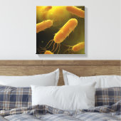 Conceptueel Afbeelding van lagellaatbacterie 3 Canvas Afdruk (Insitu (Slaapkamer))