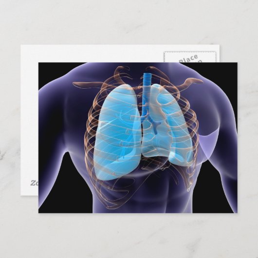 Conceptueel Afbeelding van menselijke longen en ri Briefkaart (Voorkant / Achterkant)