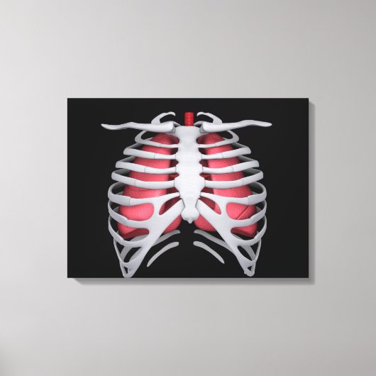 Conceptueel Afbeelding van menselijke longen en ri Canvas Afdruk (Voorkant)