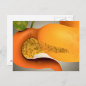 Conceptueel Afbeelding van menselijke pancreas en Briefkaart (Voorkant / Achterkant)