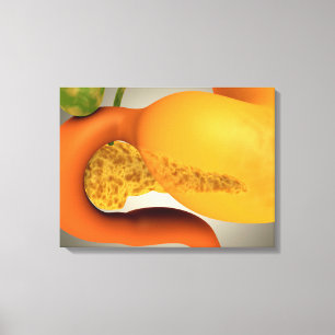 Conceptueel Afbeelding van menselijke pancreas en  Canvas Afdruk