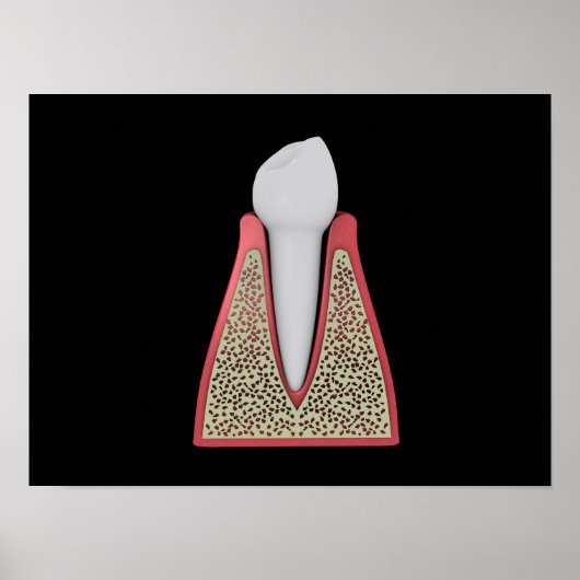 Conceptueel Afbeelding van menselijke tanden 1 Poster (Voorkant)