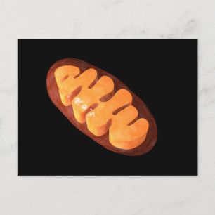 Conceptueel Afbeelding van mitochondria 1 Briefkaart