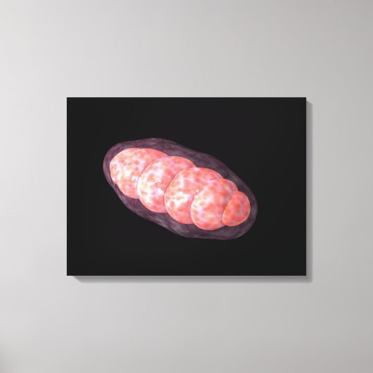 Conceptueel Afbeelding van Mitochondria 2 Canvas Afdruk (Voorkant)