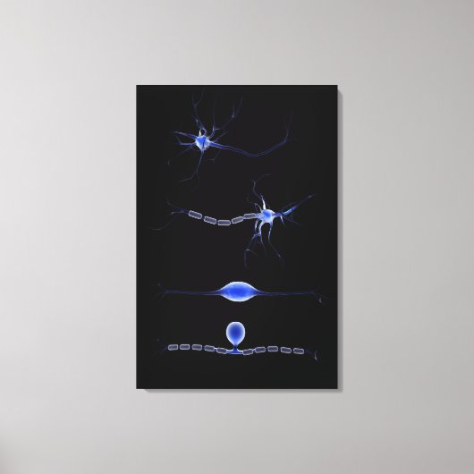 Conceptueel Afbeelding van neuron 1 Canvas Afdruk (Voorkant)