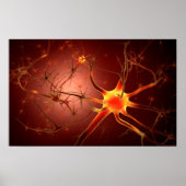 Conceptueel Afbeelding van Neuron 1 Poster (Voorkant)