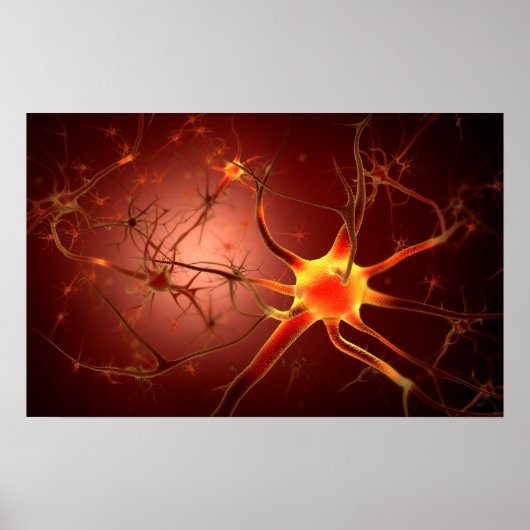 Conceptueel Afbeelding van Neuron 1 Poster (Voorkant)