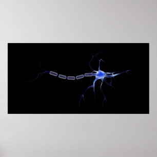 Conceptueel Afbeelding van neuron 2 Poster