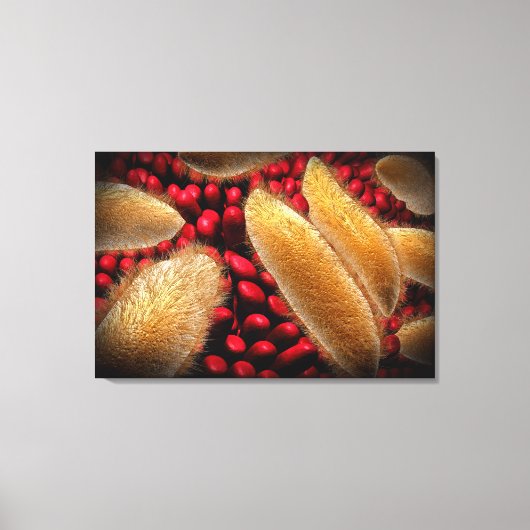 Conceptueel Afbeelding van paramecium 1 Canvas Afdruk (Voorkant)
