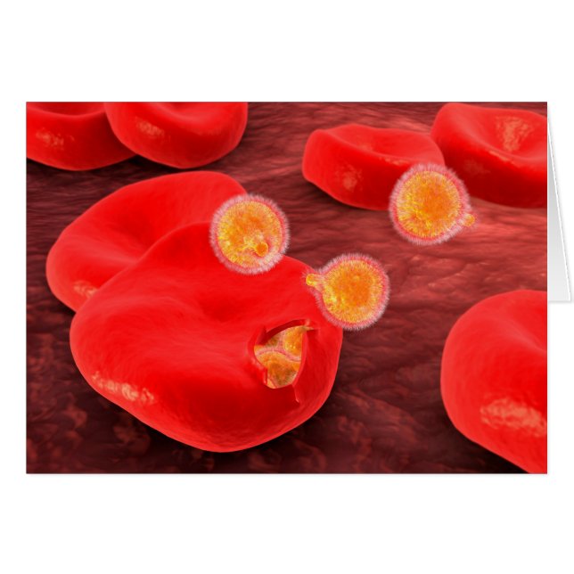 Conceptueel Afbeelding van paramecium 2 (Voorkant Horizontaal)