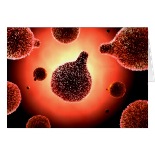 Conceptueel Afbeelding van plasma dat malaria vero (Voorkant Horizontaal)