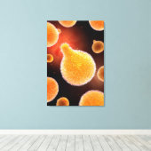 Conceptueel Afbeelding van plasma dat malaria vero Canvas Afdruk (Insitu (Houten vloer))