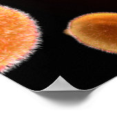 Conceptueel Afbeelding van plasma dat malaria vero Poster (Hoek)