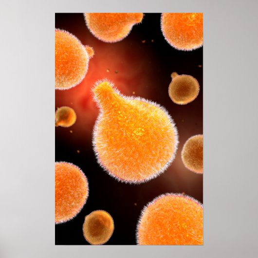 Conceptueel Afbeelding van plasma dat malaria vero Poster (Voorkant)