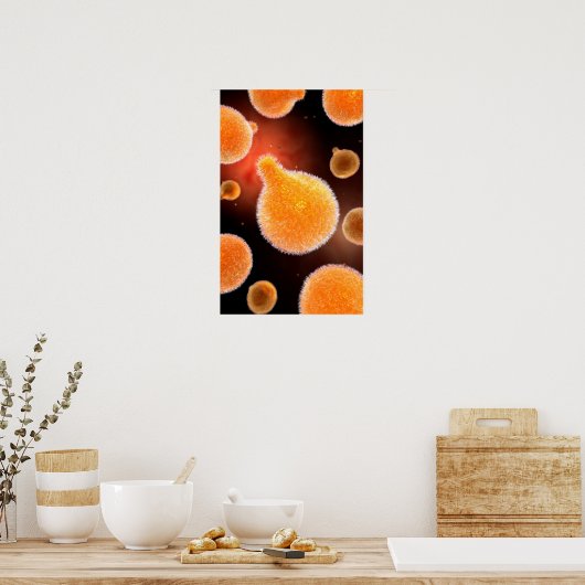 Conceptueel Afbeelding van plasma dat malaria vero Poster (Keuken)