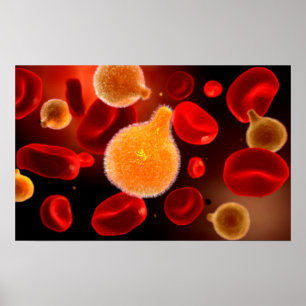 Conceptueel Afbeelding van plasma dat malaria vero Poster