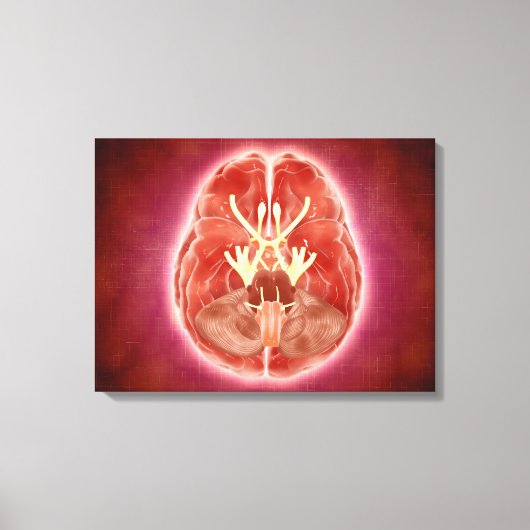 Conceptueel Afbeelding van schedelzenuwen in herse Canvas Afdruk (Voorkant)