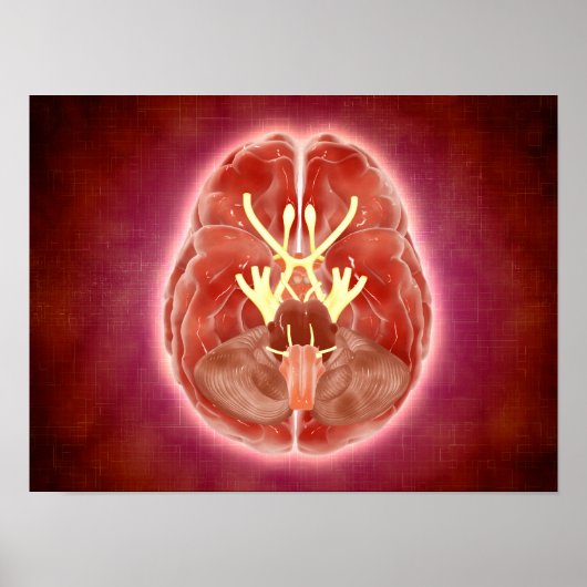 Conceptueel Afbeelding van schedelzenuwen in herse Poster (Voorkant)
