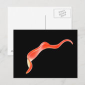 Conceptueel Afbeelding van trypanosoma 2 Briefkaart (Voorkant / Achterkant)