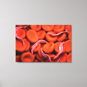 Conceptueel Afbeelding van trypanosoma 3 Canvas Afdruk